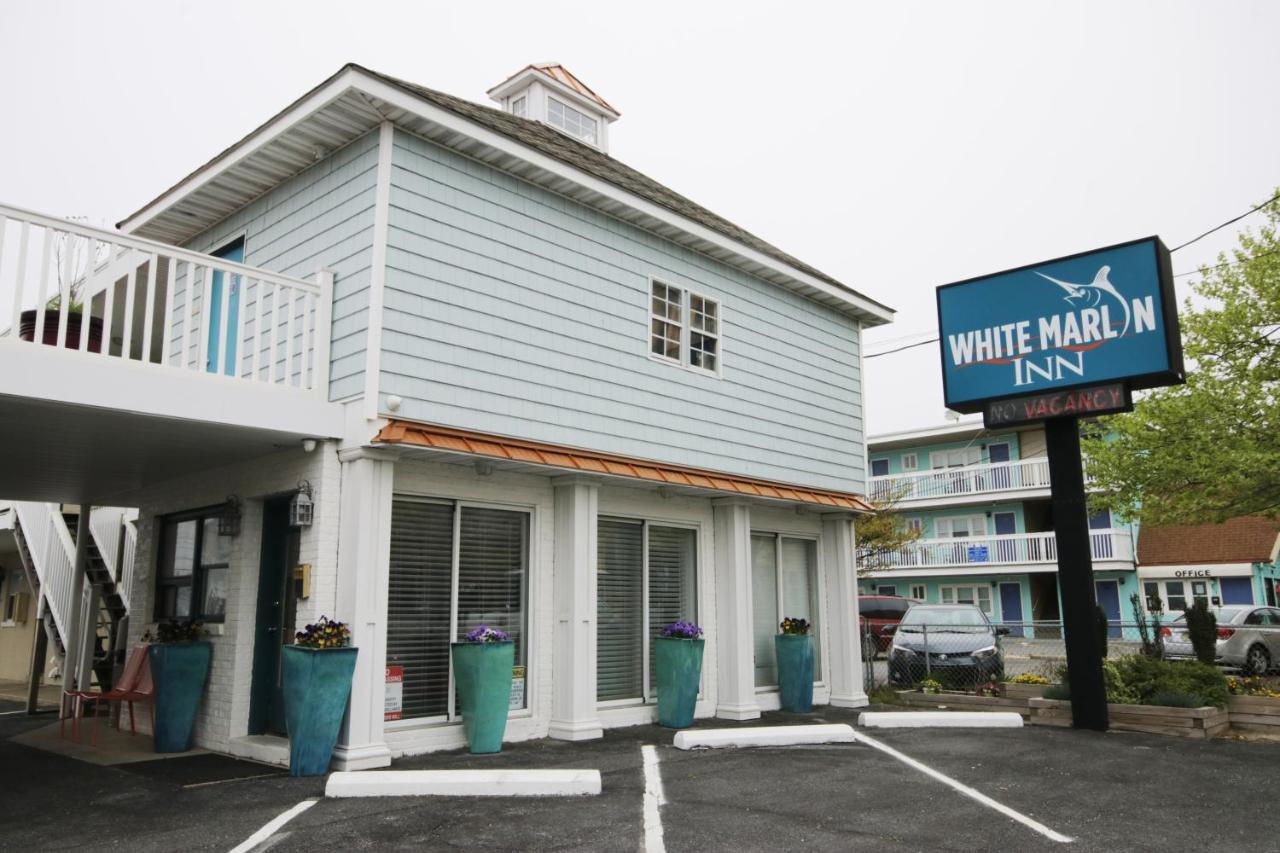 White Marlin Inn Ocean City Exteriör bild